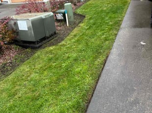 Alicia B.'s grass cutting service result