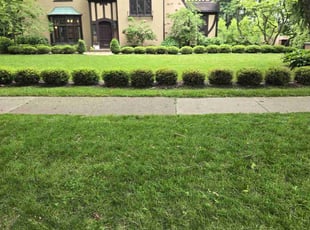 Brianna L.'s grass maintenance service result