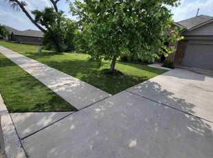 Jim K.'s turf maintenance service result