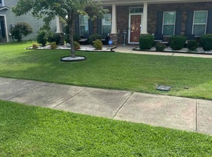 Jacky B.'s grass cutting service result