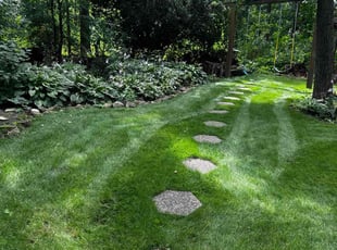 Sharon O.'s lawn maintenance service result