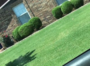 Darisa B.'s Bush Trimming service result