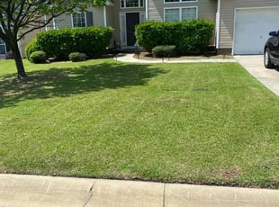 Gracelyn M.'s grass cutting service result