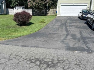 Lupe S.'s yard work service result