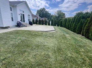 Sarah K.'s turf maintenance service result