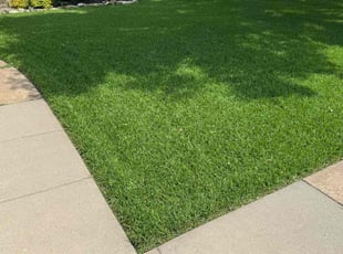 Rob W.'s lawn care service result
