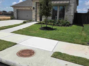 Lesley B.'s lawn care service result