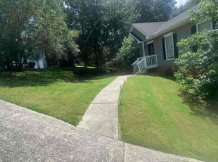 Juanita S.'s turf care service result