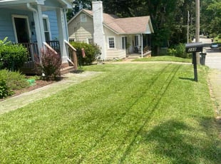 Lana T.'s turf care service result