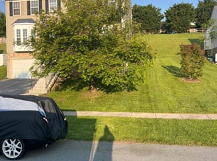Erika R.'s turf maintenance service result