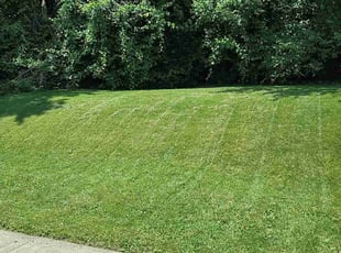 Deborah M.'s lawn care service result