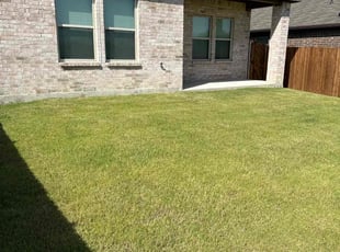 Marshawn M.'s lawn service service result