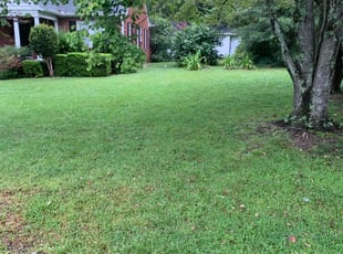 Cameron W.'s lawn maintenance service result