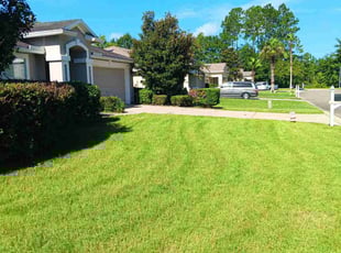 Roger M.'s Bush Trimming service result