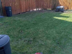 Sean T.'s lawn maintenance service result
