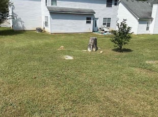 Lorie H.'s lawn care services service result