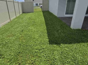 Lynnette D.'s lawn care service result