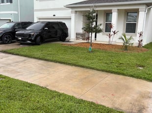 Michael F.'s lawn care service result