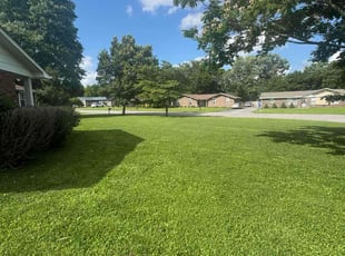 Queen Q.'s grass cutting service result