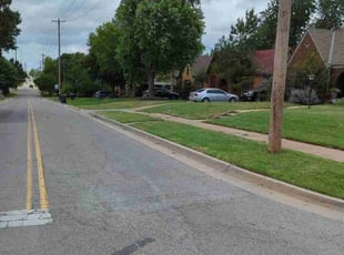 Vincent J.'s lawn maintenance service result