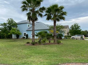 Naim L.'s lawn care service result
