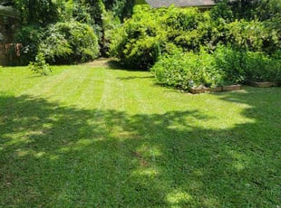 Barb H.'s yard service service result