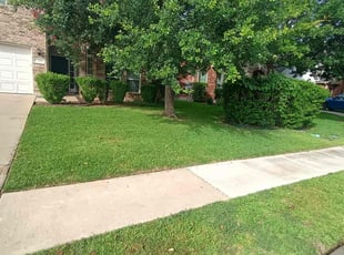 Michael C.'s lawn service service result