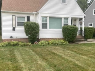 Noemi B.'s Bush Trimming service result