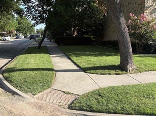 Christine K.'s grass cutting service result