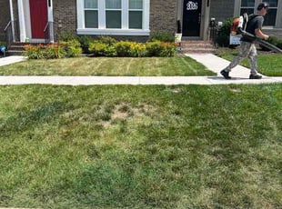 Charlene P.'s lawn care services service result