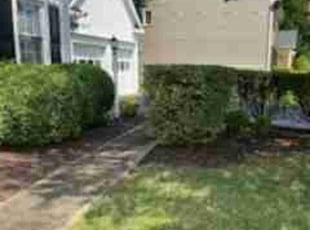 Tepsiri H.'s Bush Trimming service result