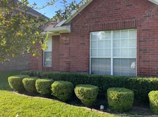 Stacy O.'s Bush Trimming service result