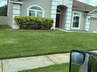 Nick L.'s grass maintenance service result