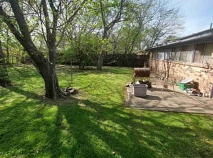 Jack F.'s turf care service result