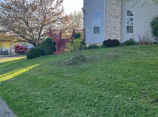 Irene M.'s lawn maintenance service result