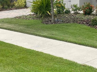 Tanith M.'s grass cutting service result