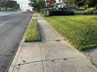 Eboni A.'s grass maintenance service result