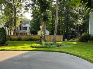 Steve D.'s turf care service result