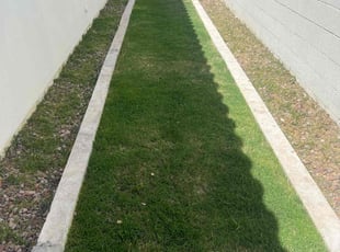 Kristin V.'s grass cutting service result