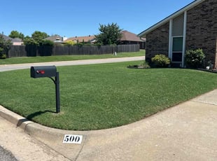 Brad B.'s grass cutting service result