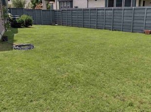 Elizabeth K.'s grass maintenance service result