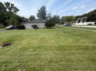 Ellisa H.'s grass cutting service result