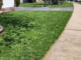Joey O.'s lawn care services service result
