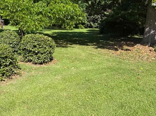 Sheri W.'s lawn care service result