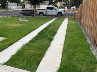 Diane B.'s turf maintenance service result