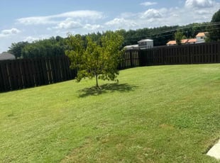 Jenny B.'s grass cutting service result