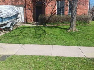 Joanne P.'s lawn care service result