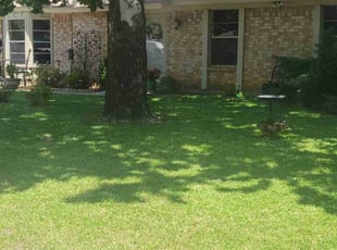 Brian W.'s turf maintenance service result