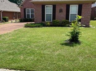 Eric M.'s lawn service service result