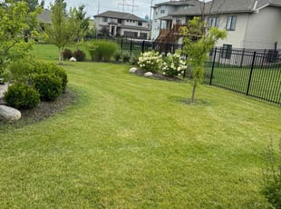 Mandy H.'s grass cutting service result